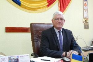 Soluţii pentru gestionarea câinilor fără stăpân din Iernut