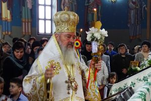 IPS Arhiepiscop şi Mitropolit Andrei, la Sigmir