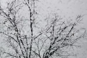 Informare meteorologica. Cum va fi vremea in toata tara