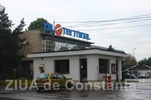 Oil Terminal, declaratii de avere    Daniela Moldoveanu are trei terenuri, o casa, doua masini si mai multe credite (documente)