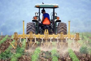 Sprijin financiar de până la 1.500 de euro pe an, pentru micii fermieri care cedează terenuri agricole pentru comasare