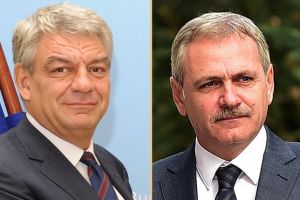 Agitaţie! PSD Satu Mare, de partea lui Dragnea în războiul cu Tudose