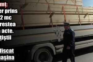 Neamţ: Şofer prins cu 12 mc cherestea fără acte. Poliţiştii i-au confiscat şi maşina