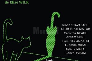 O nouă reprezentaţie a piesei „Pisica verde” - Teatrul studenţesc Fabulinus