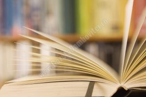 Principalele direcţii de acţiune ale Inspectoratului Școlar Judeţean Dâmboviţa pentru prima decadă a anului 2018