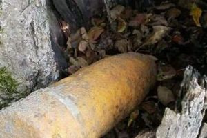 Proiectil descoperit la Albota