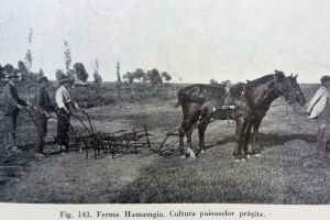 #citesteDobrogea: Evolutia agriculturii dobrogene. Lucrari din Biblioteca Virtuala ZIUA de Constanta