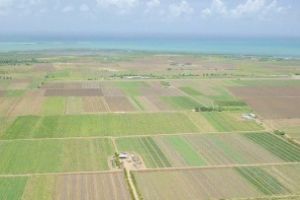 Ce fac agricultorii în ianuarie?