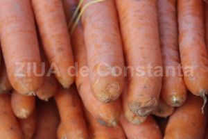 Legume de peste 4 milioane de euro vandute de un fermier din Constanta catre hipermarketuri cunoscute
