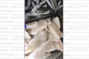 Atentie la pestele congelat pe care il cumparati. Ce au descoperit comisarii CJPC Constanta la pestele vandut intr-un hipermarket din Constanta