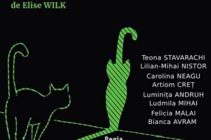 Teatrul studenţesc Fabulinus aduce o nouă reprezentaţie a piesei „Pisica verde”