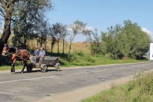 Depopulare masivă! Localitatea din Satu Mare cu cea mai dramatică scădere a populaţiei în ultimii 10 ani