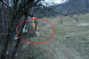 PUCIOASA: Un bărbat a incendiat, intenţionat, un spaţiu în care erau ţinuţi şase câini!