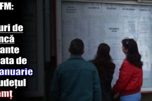 AJOFM: 357 locuri de muncă vacante la data de 15 ianuarie 2017 în judeţul Neamţ