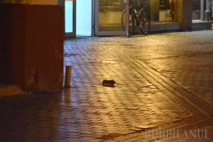Deratizaţi oraşul! Şobolanii circulă în voie pe Corso