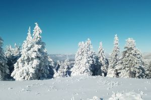 Strat gros de zăpada în munţii Nemira