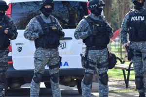 Percheziţii în domeniul silvic în judeţul Mureş