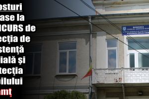 Șase posturi scoase la CONCURS de Direcţia Generală de Asistenţă Socială şi Protecţia Copilului Neamţ