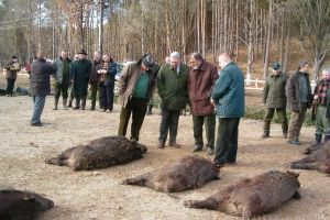 Ţiriac se întoarce la Balc: după ce în decembrie au împuşcat cerbi în Caraş-Severin, amicii mogulului se întorc în Bihor după mistreţi