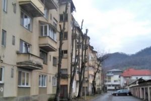 Vocea baimareanului: Rusine ca ne-ati mintit! Orasul e tot o opera de arta