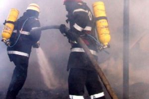 Incendii la Lunca Mureşului şi Filea (Deda)