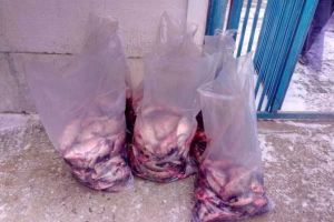 131 kg de peşte, confiscate de jandarmi la Videle