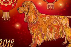 Horoscopul anului 2018