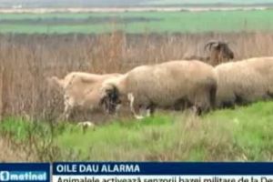France Press alertează LUMEA. OILE din CARACAL pun în pericol SCUTUL de la DEVESELU