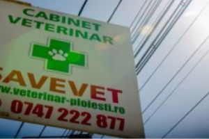 Mai puţine compromisuri! Un cabinet veterinar din Ploiesti, destinat exclusiv rezolvării tuturor problemelor de sănătate ale necuvântătoarelor!