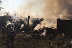 Două incendii în decurs de 3 ore în judeţul Satu Mare. Un hambar distrus şi o tonă de porumb făcută scrum