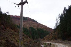 În plină iarnă, 14 familii din comuna Rodna au rămas fără curent. Soluţia Electrica