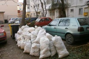 Ultima masura luata de Politia Locala pentru a scapa Timisoara de gunoaiele dintre blocuri