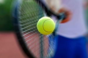 Complexul sportiv al Arenei 