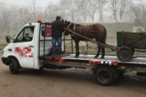 Rezultatul FINAL s-a decis într-o SECUNDĂ. Galeria FOTO în care IMAGINAȚIA a trecut ORICE LIMITĂ