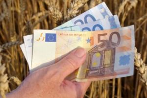 S-au aprobat  plafoanele pentru ANT  în sectorul vegetal