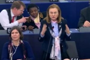 Contre dure în PE, între Maria Grapini şi Laszlo Tokes:„Domnul Tokes ar trebui să-şi ceară scuze pentru afirmaţiile făcute!”