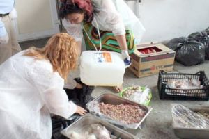 Amenzi de aproximativ 250.000 lei pentru siguranţa alimentelor şi animalelor