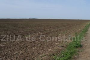 Firma apare in Dosarul Retrocedarilor: Un teren detinut de New Home Construct SA la 23 August, scos la mezat (document)