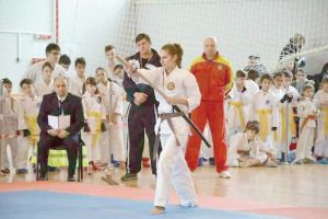 Artele marţiale îşi dau întâlnire la Bârlad