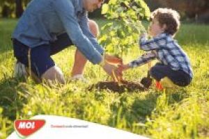 MOL România şi Fundaţia pentru Parteneriat au lansat a 13-a ediţie a programului Spaţii Verzi, cu finanţări de aproape 700 de mii de lei