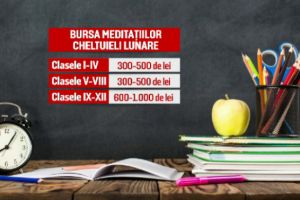 Cât au ajuns să-i coste pe părinţi meditaţiile copiilor. Majoritatea profesorilor nu declara veniturile la ANAF