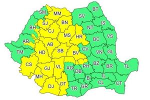 Cod galben de vânt, ninsori şi polei