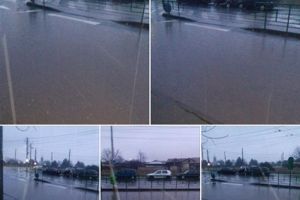 INUNDAŢIE în Alfa! Falcă, invitat „să se dea cu barca”