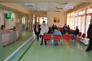 Atenţie la porcul de casă! 14 persoane din Satu Mare, suspecte de trichineloză