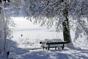 Unde au fost -62 de grade. Autorităţile le-au cerut oamenilor să nu iasă din case