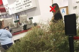 A venit pe 4 ianuarie cu bradul la magazin, spunand ca isi vrea banii inapoi pentru ca 