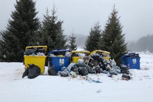 FOTO. Gunoiul menajer de la containerele din preajma pensiunilor de la Domeniul Schiabil Șureanu, neridicat de două săptămâni