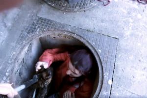 VIDEO Pisică salvată in extremis dintr-un canal la Sibiu