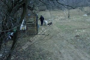 Bărbatul care a dat foc ţarcului de câini de la Pucioasa a fost reţinut de poliţişti