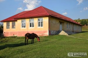 Florin Roman: Zeci de şcoli din judeţul Alba se vor închide pentru reducerea cheltuielilor, iar soarta a sute de copii e afectată. Marcela Dărămuş, ”paparudă” şi slugă obedientă a ministrului ”Genunche”